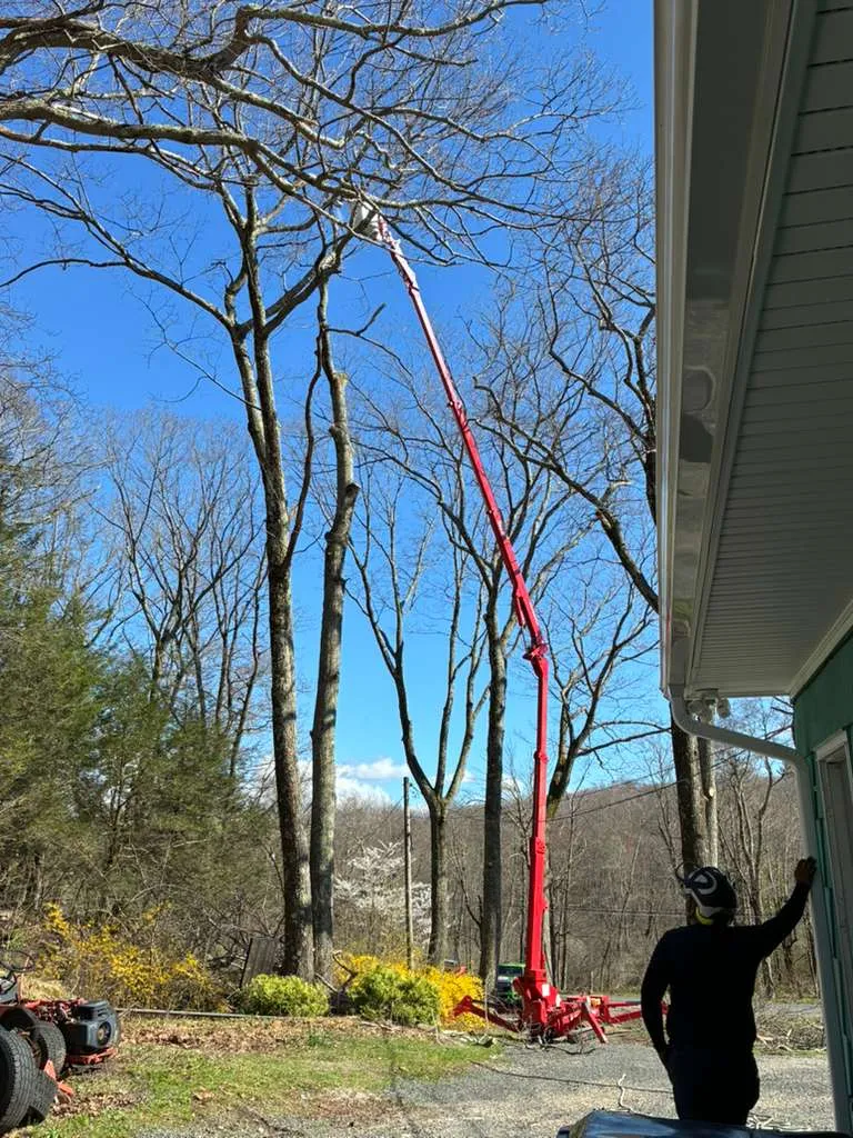 Pulla team Connecticut