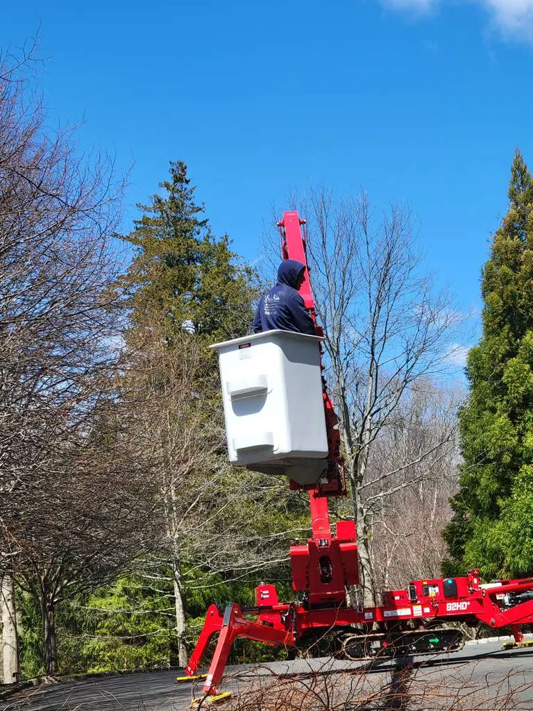 Site prep Brookfield CT — Pulla