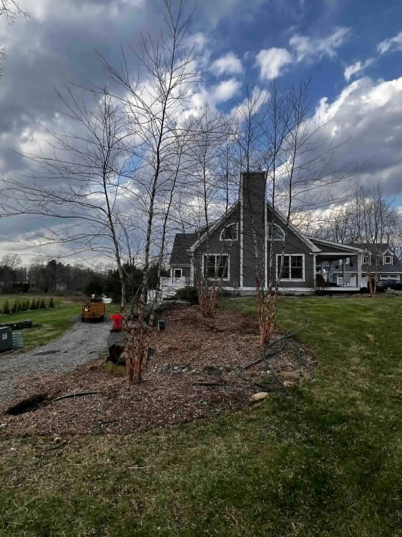 Tree service Connecticut