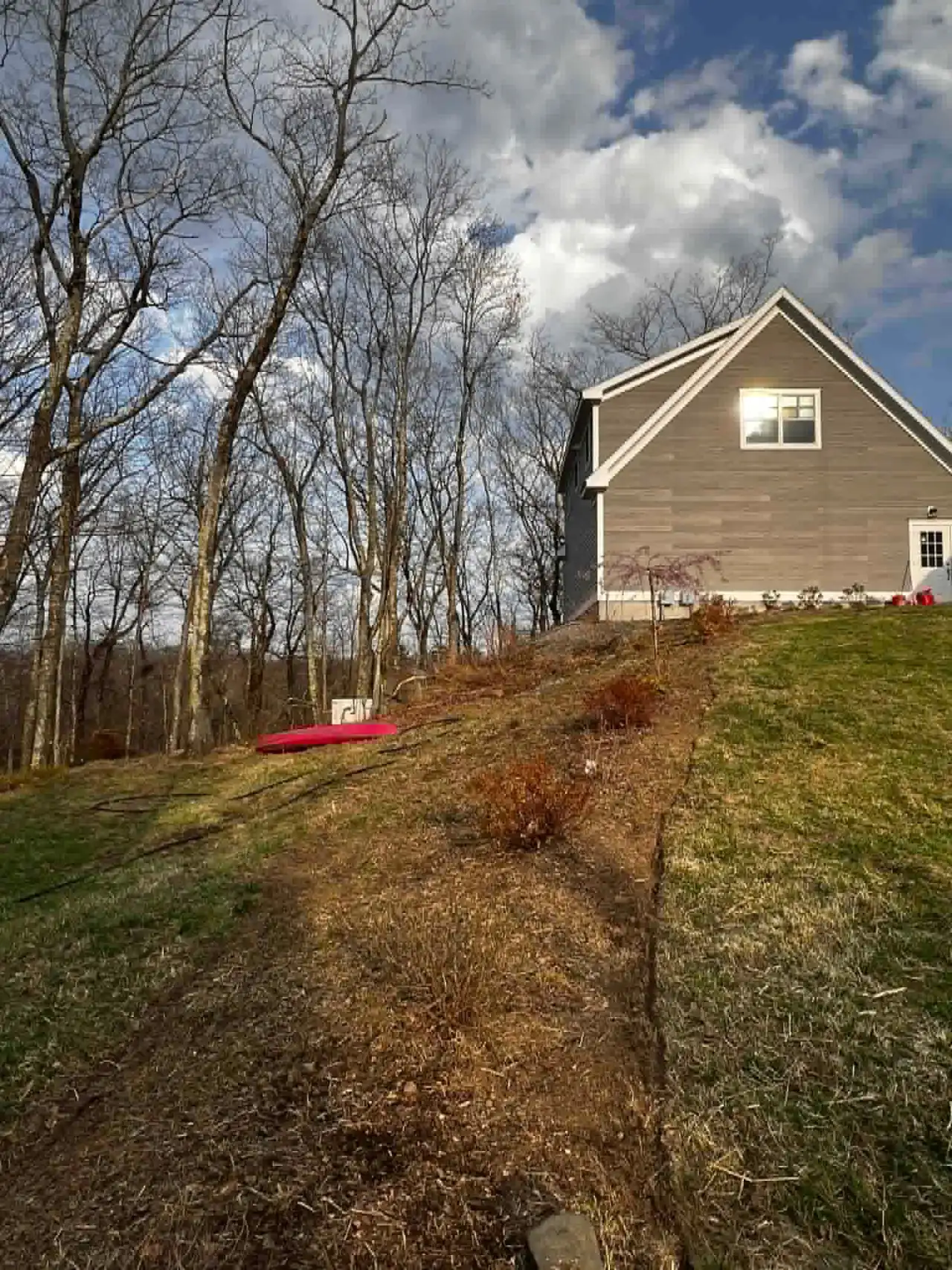 Crane tree service Connecticut