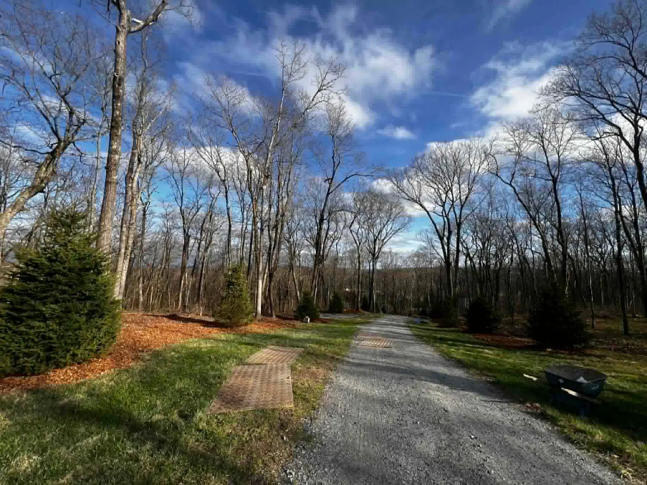 Stump grinding Connecticut