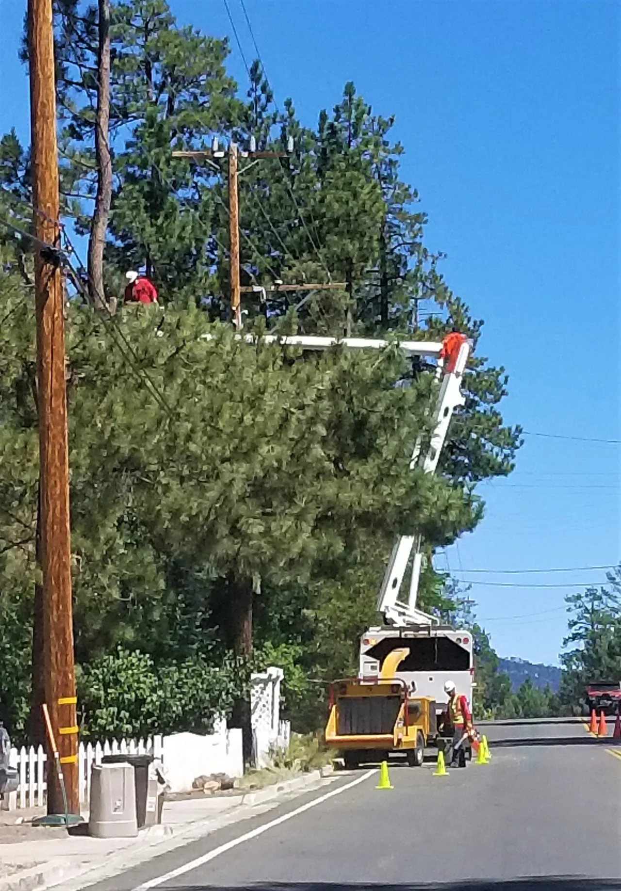 Bucket Truck Tree Service in Connecticut