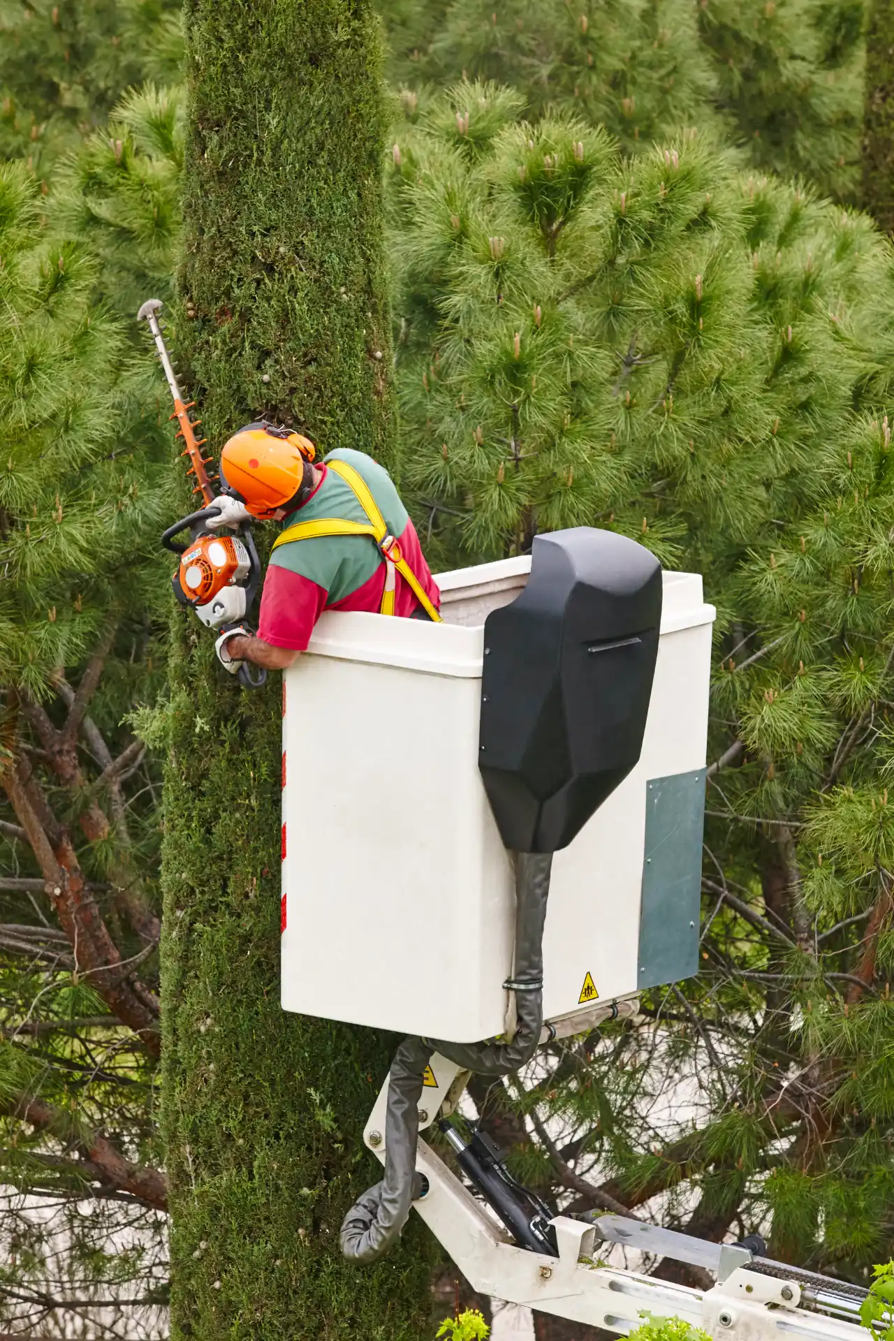 Bucket Truck Tree Service in Connecticut
