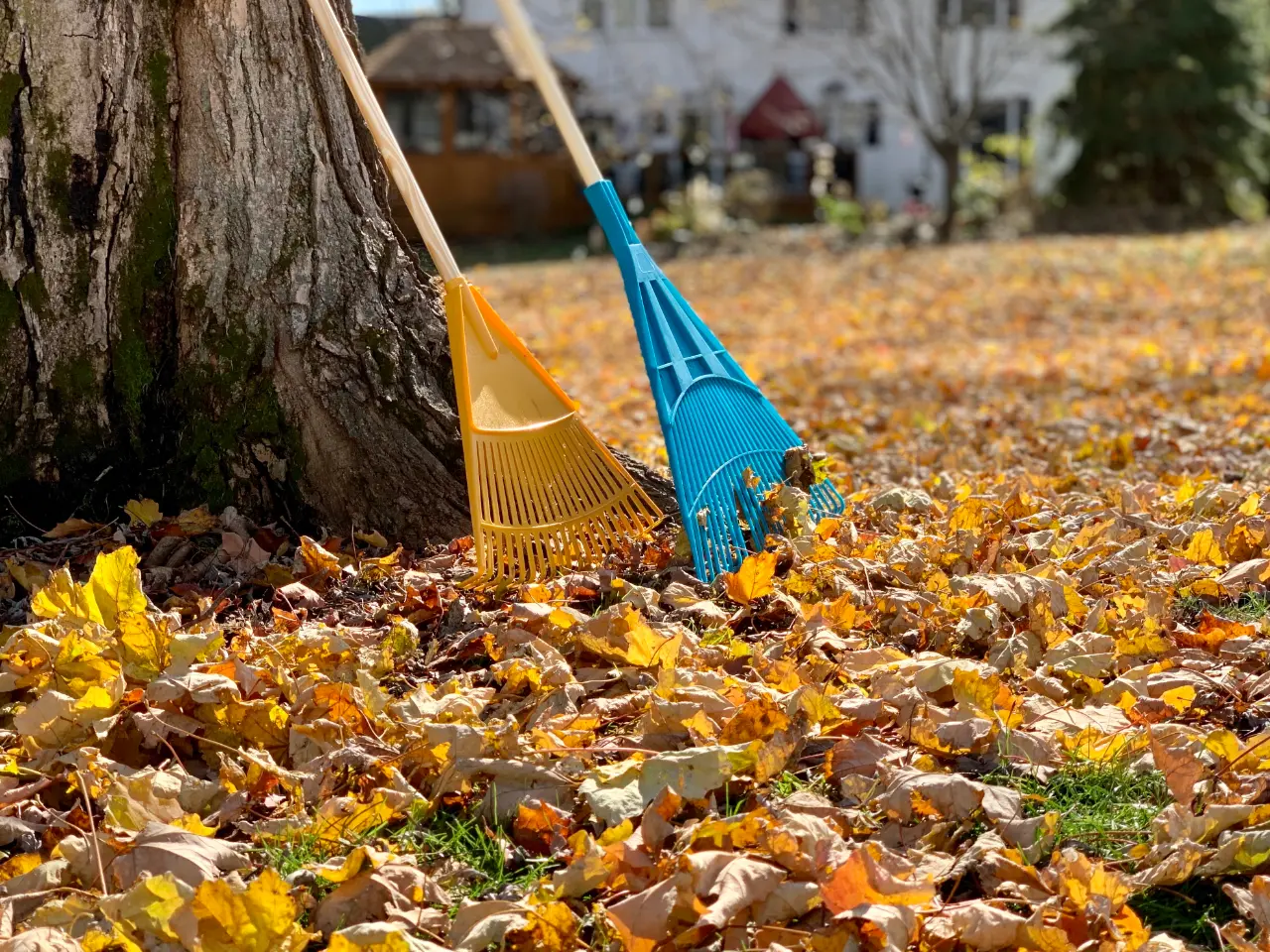 Spring and Fall Cleanup Services in Connecticut