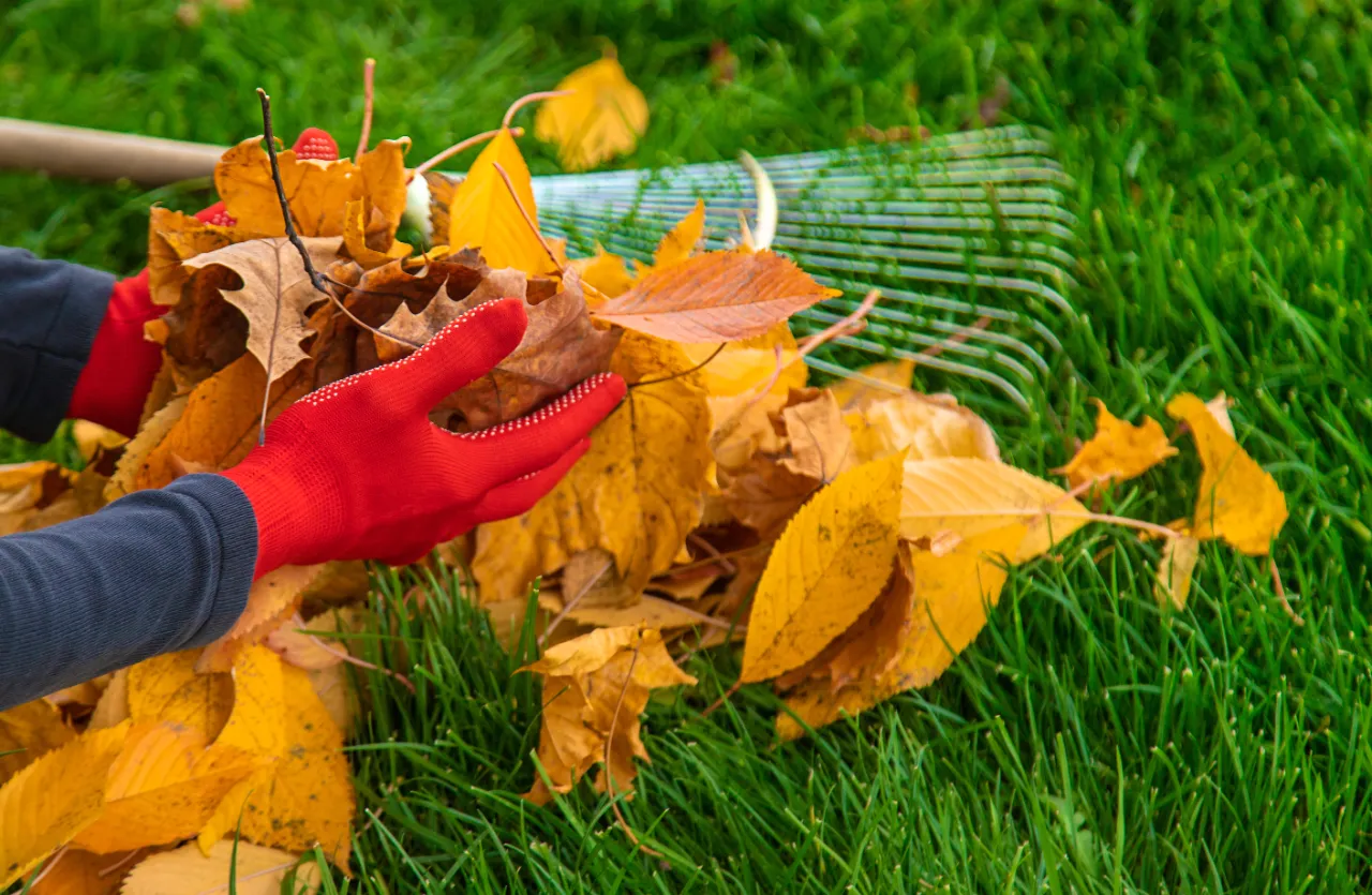 Spring and Fall Cleanup Services in Connecticut