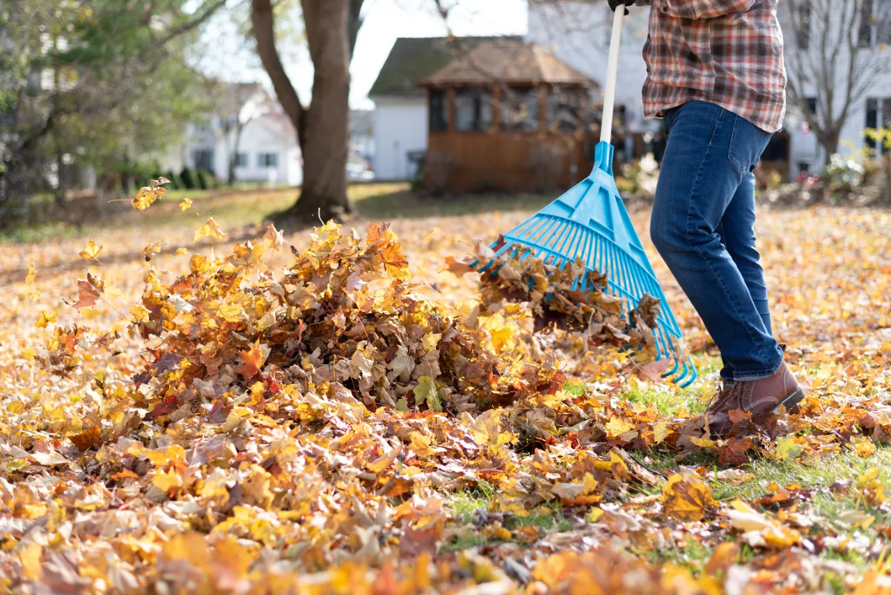 Spring and Fall Cleanup Services in Connecticut