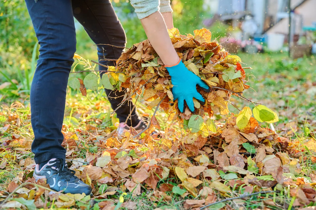 Spring and Fall Cleanup Services in Connecticut