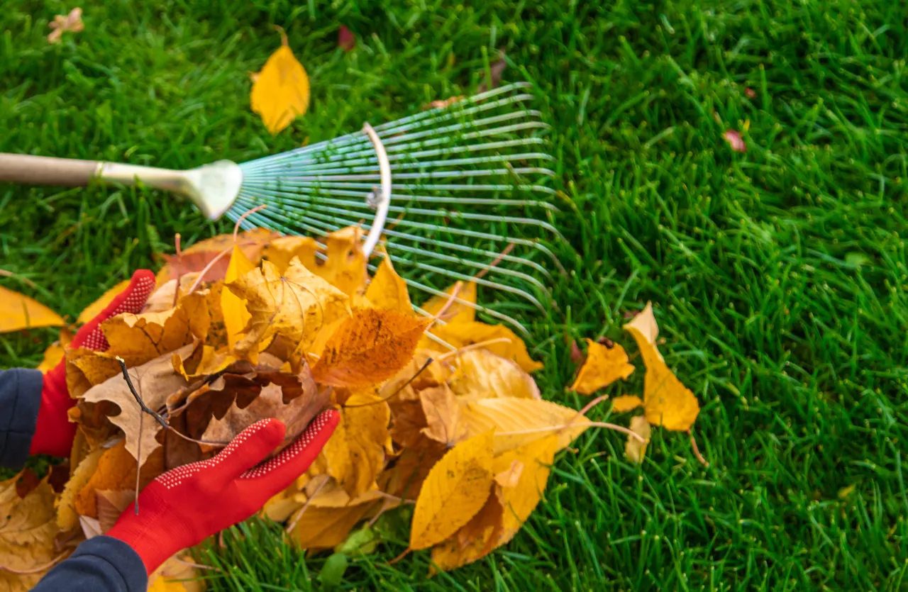 Spring and Fall Cleanup Services in Connecticut