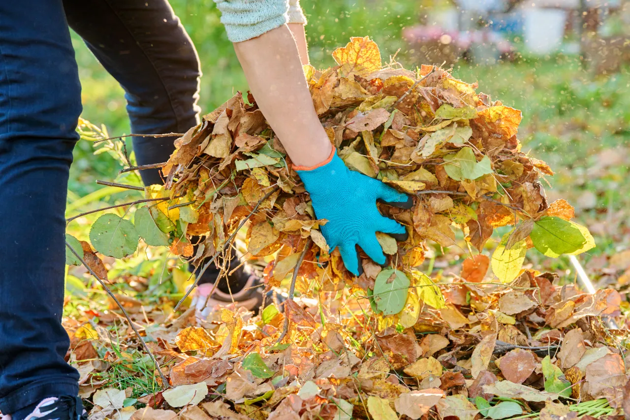 Spring and Fall Cleanup Services in Connecticut