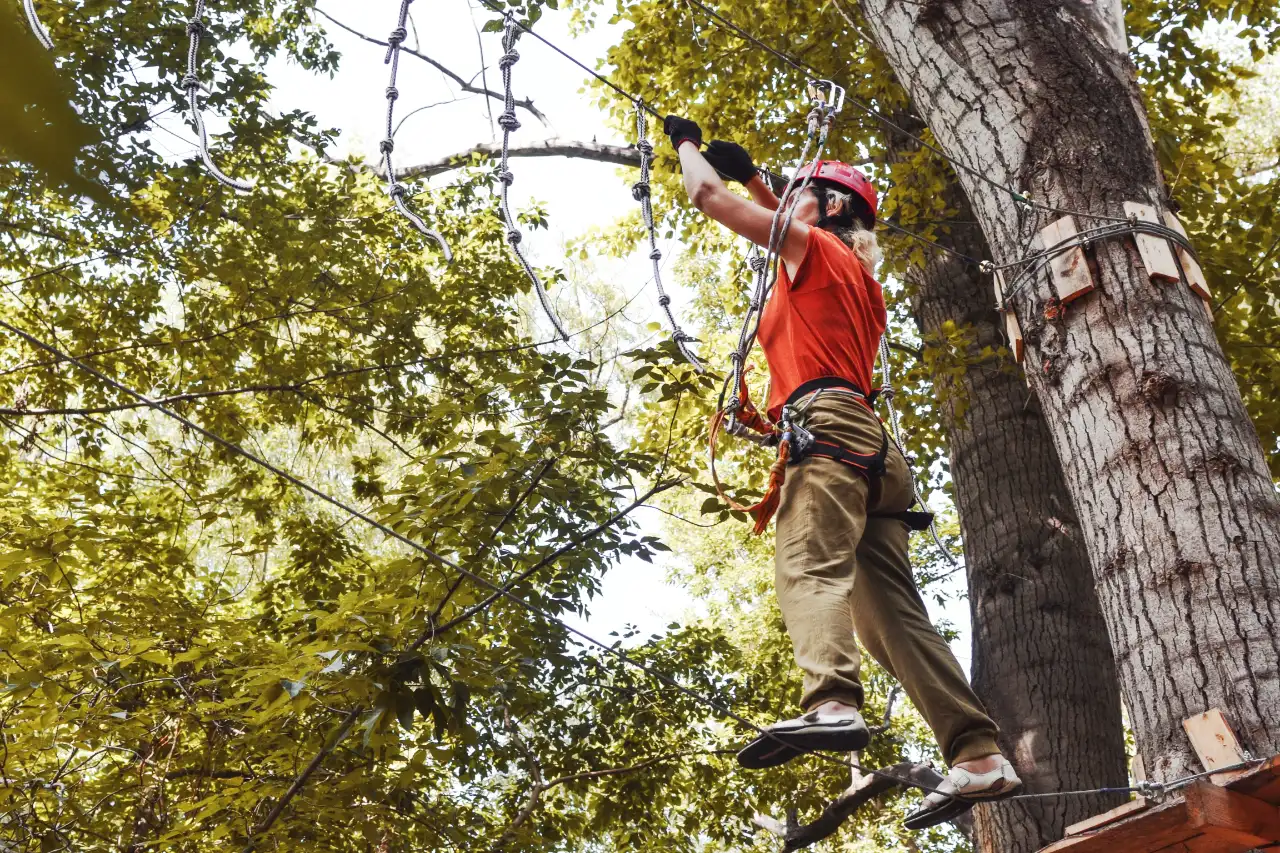 Crane Tree Service in Connecticut