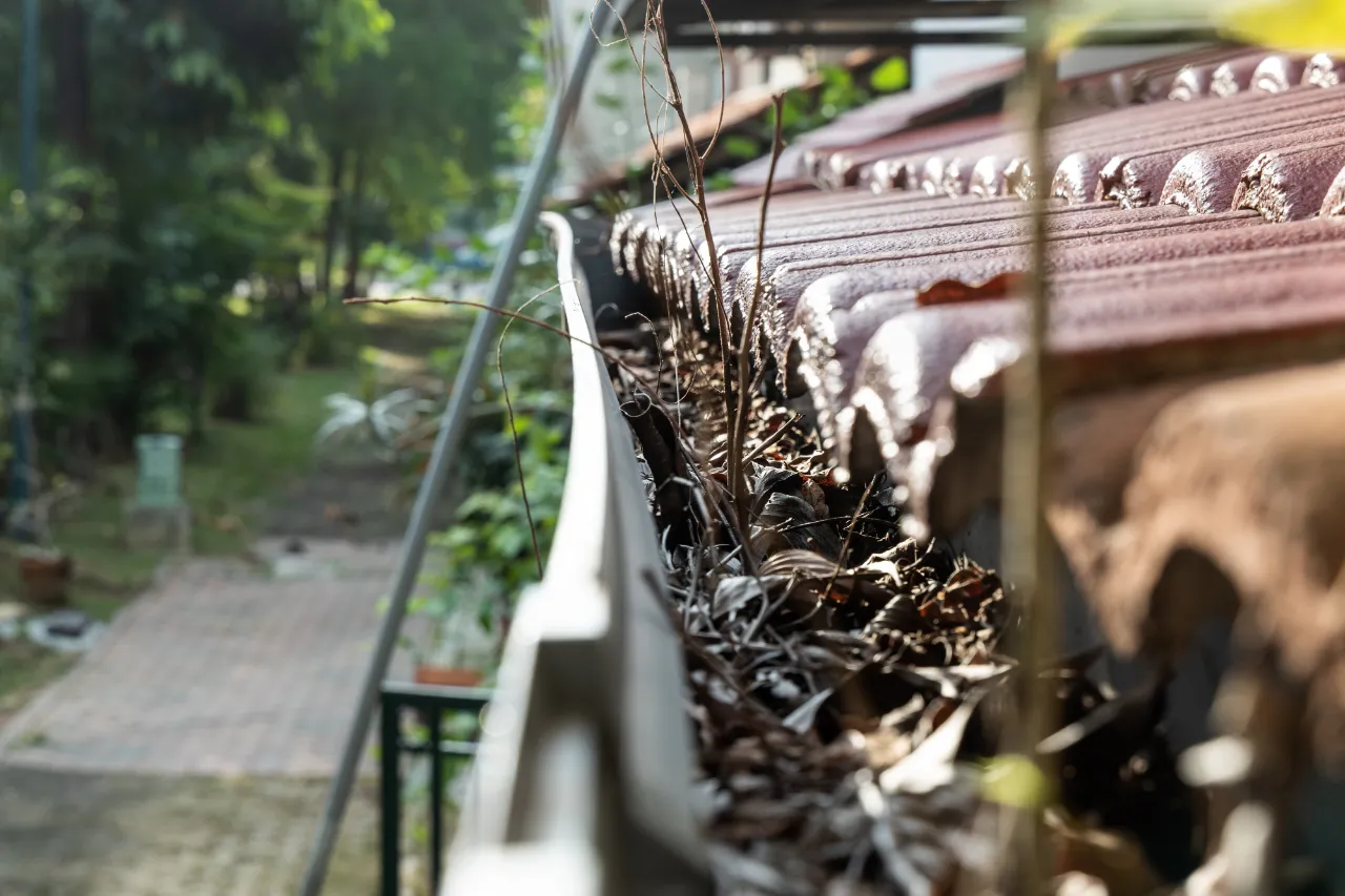 Gutter Cleaning Services in Connecticut