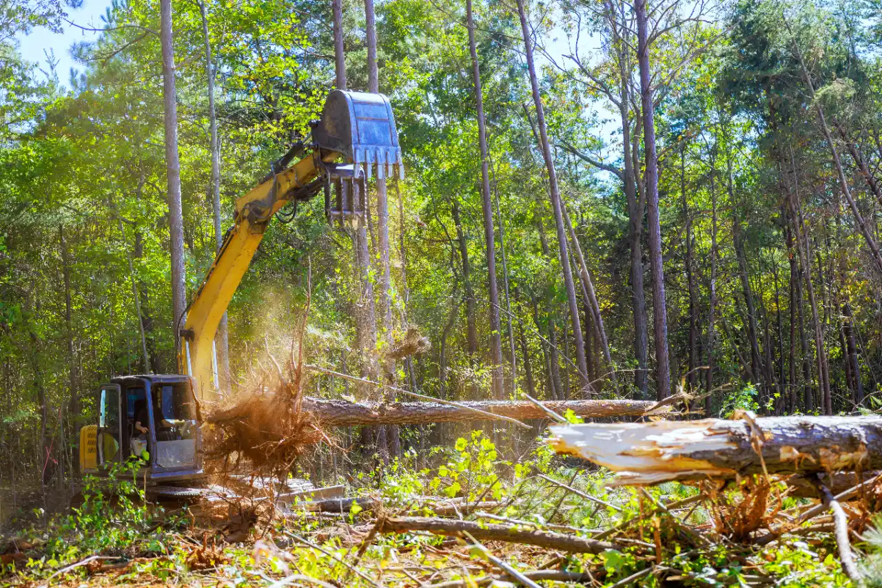 Residential Land Clearing WESTPORT CT