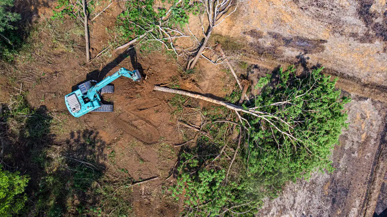 Residential Land Clearing WESTPORT