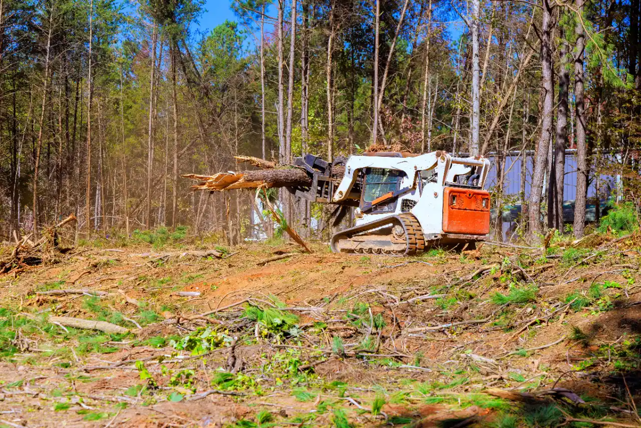 Residential Land Clearing crew WESTPORT