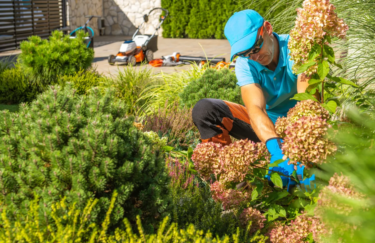 Landscaping Services in Connecticut