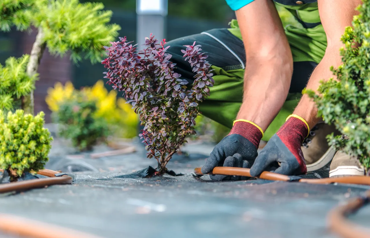 Landscaping Services in Connecticut