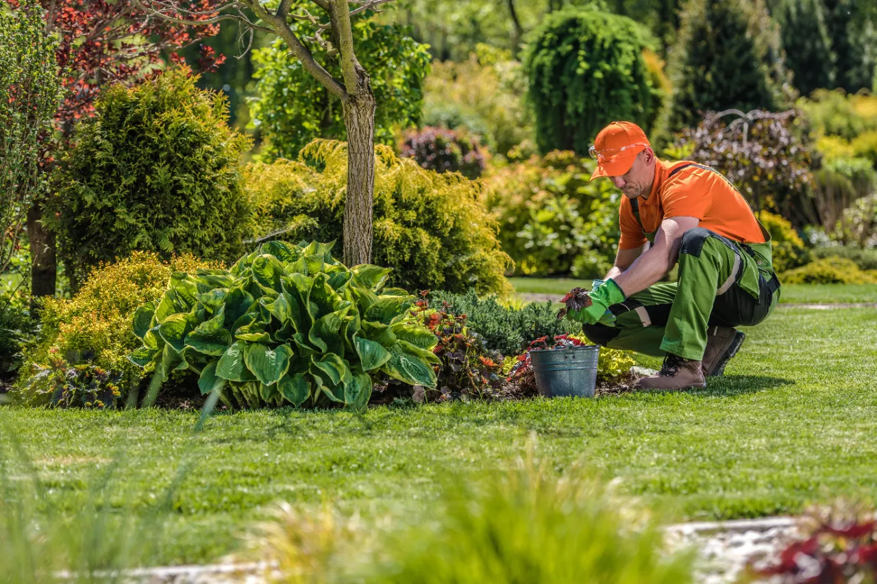Landscaping Services in Connecticut