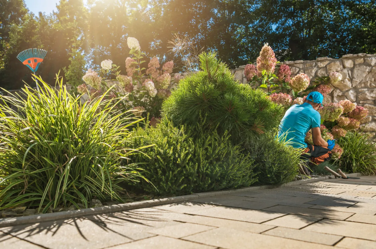 Landscaping Services in Connecticut