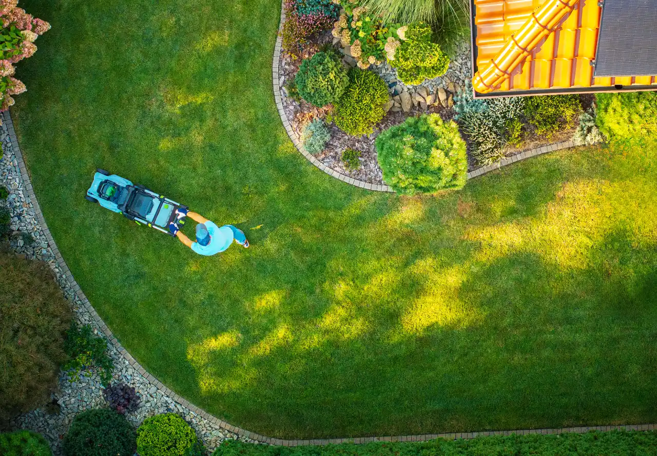 Lawn Care Services in Connecticut