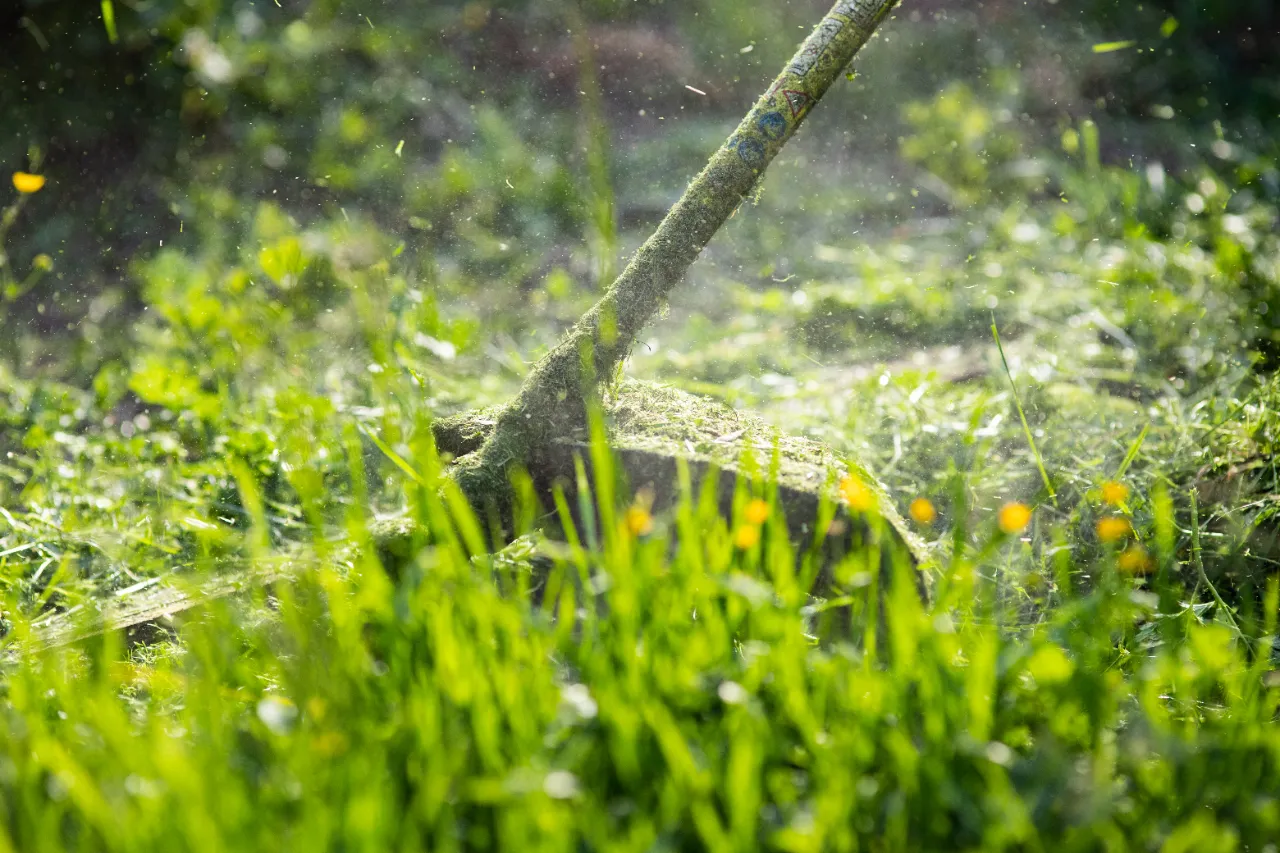 Lawn Care Services in Connecticut