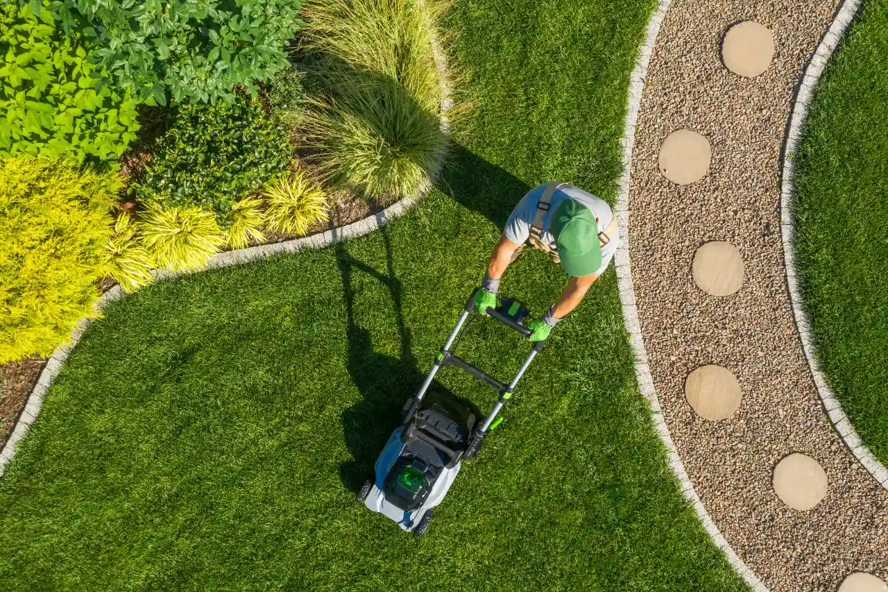Lawn Care Services in Connecticut