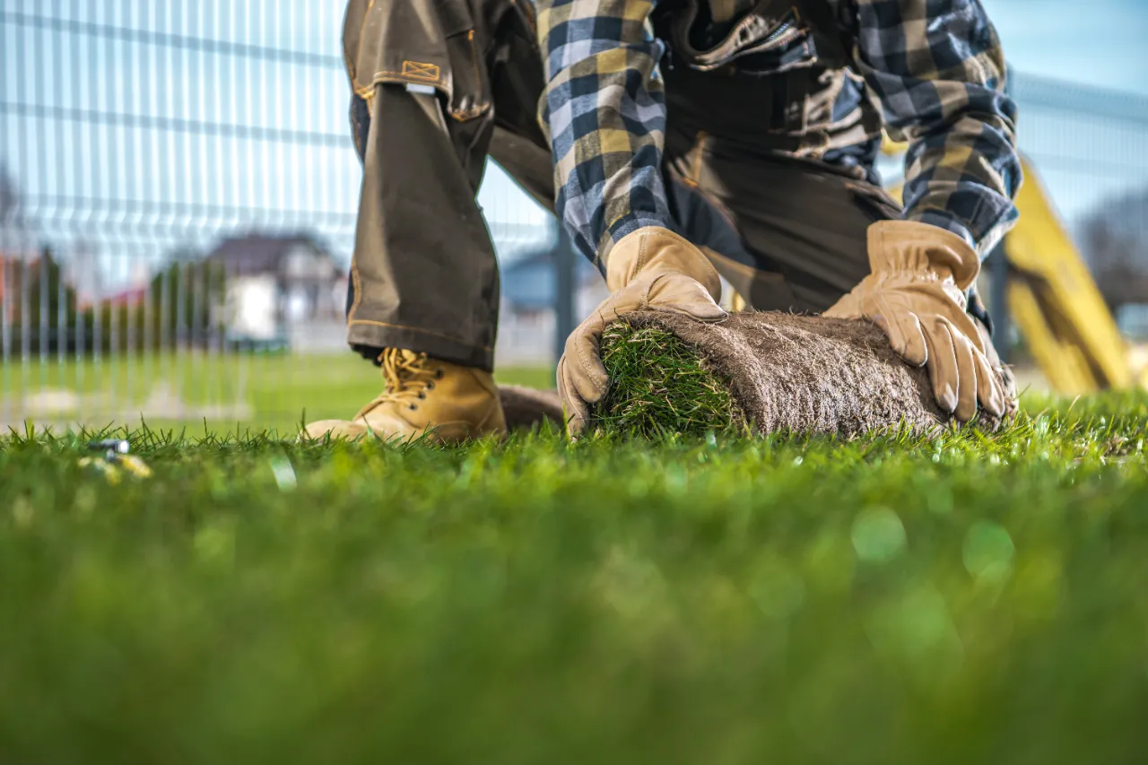 Lawn Care Services in Connecticut