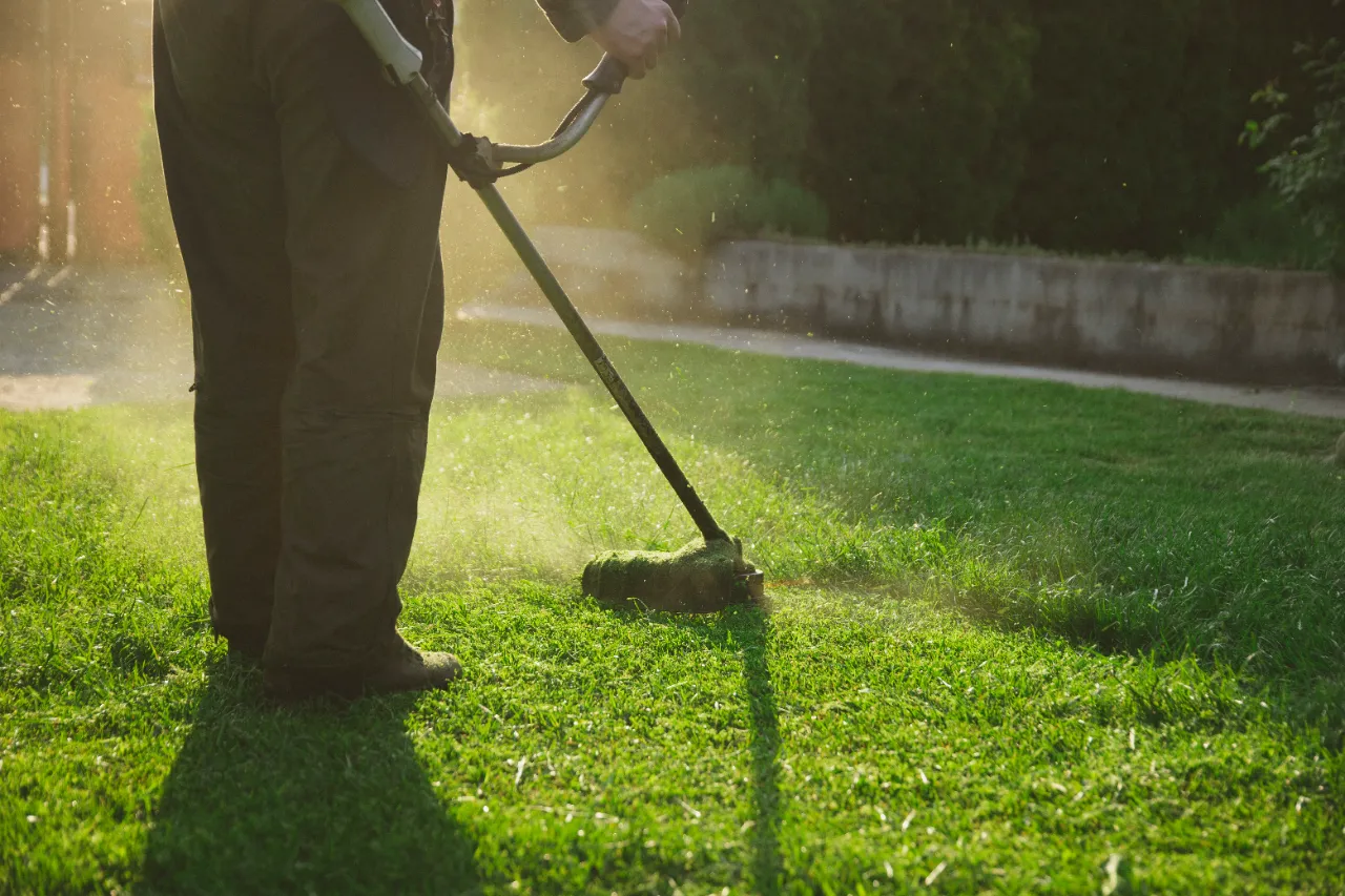 Lawn Care Services in Connecticut