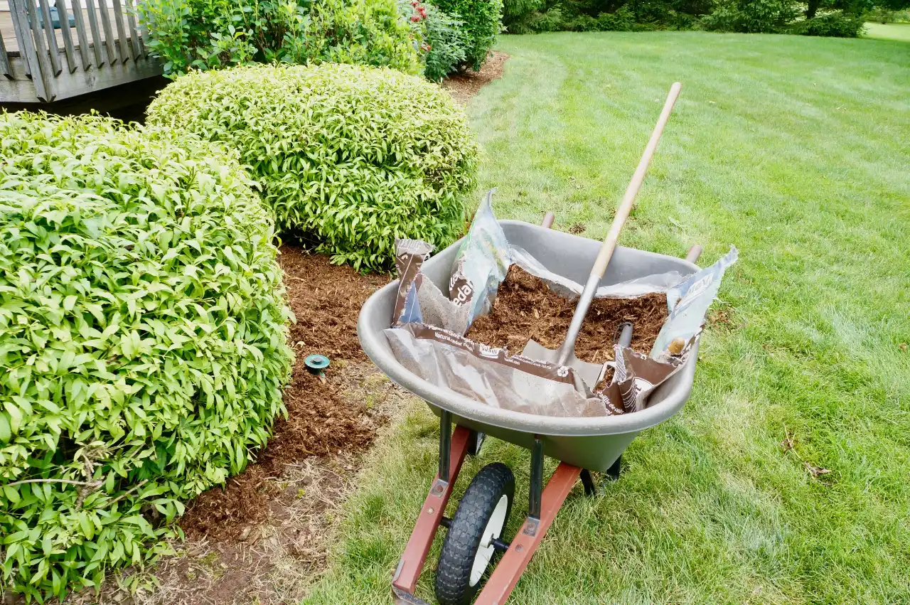 Mulching Services FARMINGTON