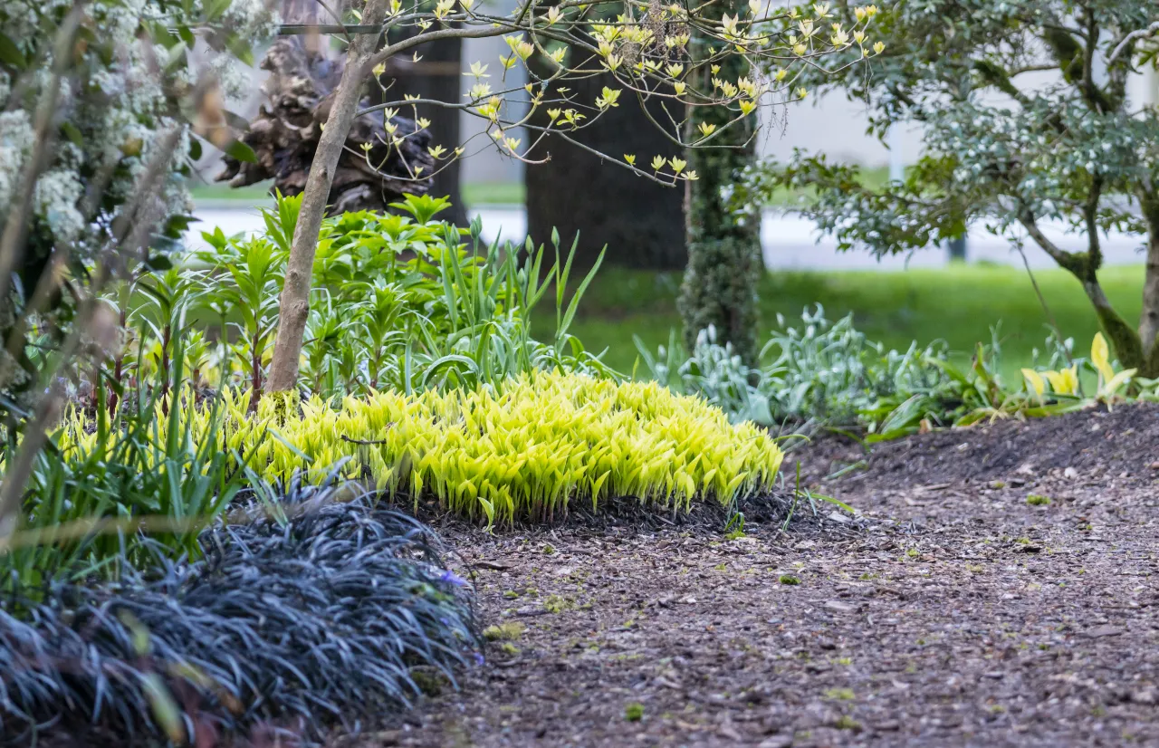 Mulching Services crew FARMINGTON