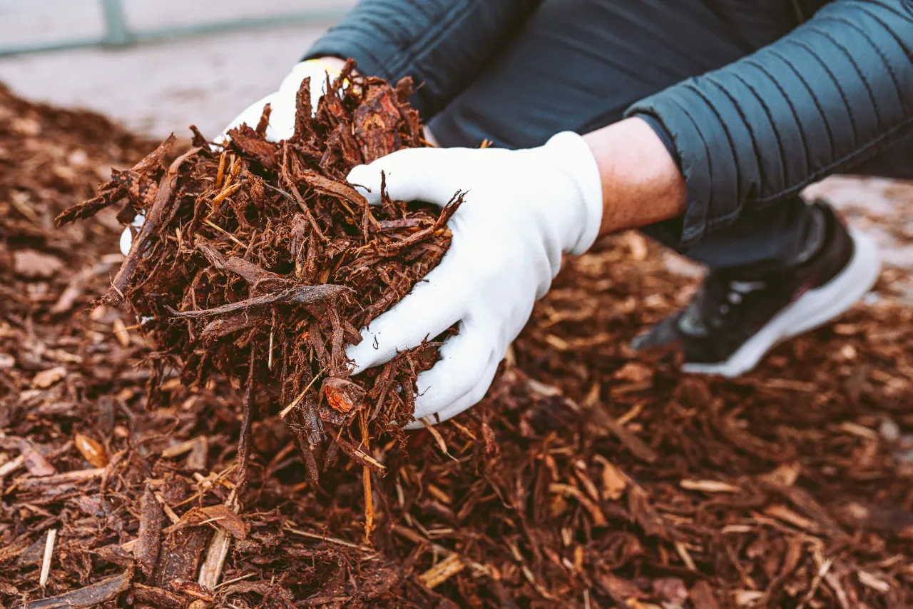 Mulching FARMINGTON CT