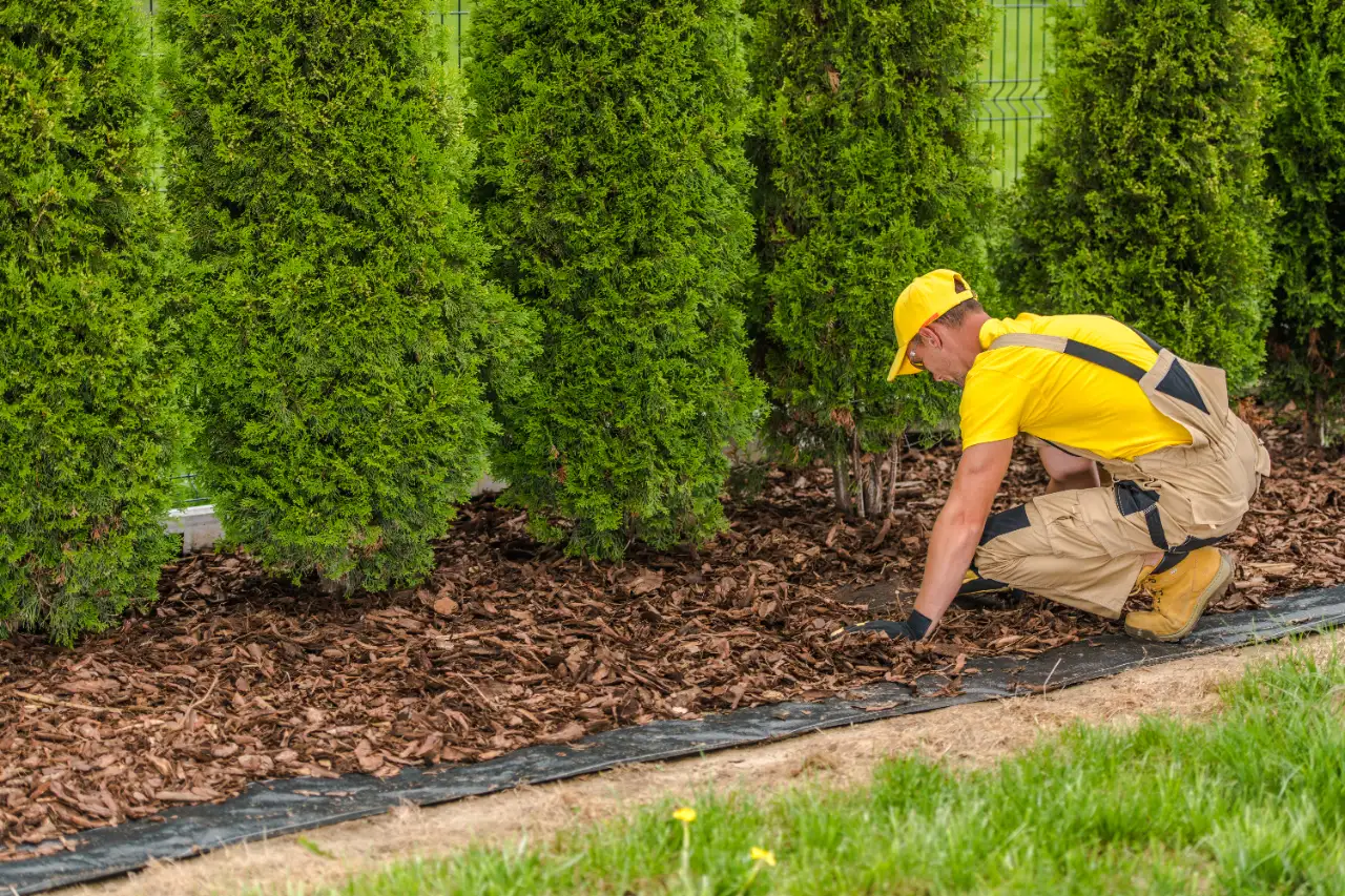 Mulching FARMINGTON CT