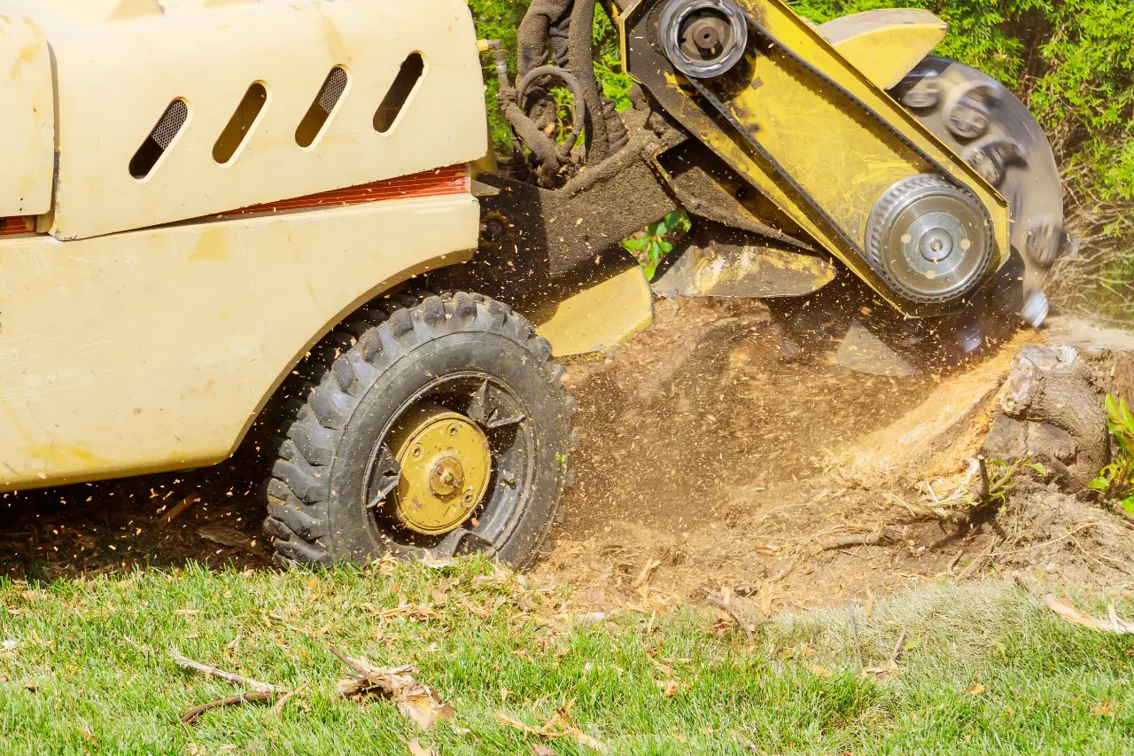 Stump Grinding Services in Connecticut