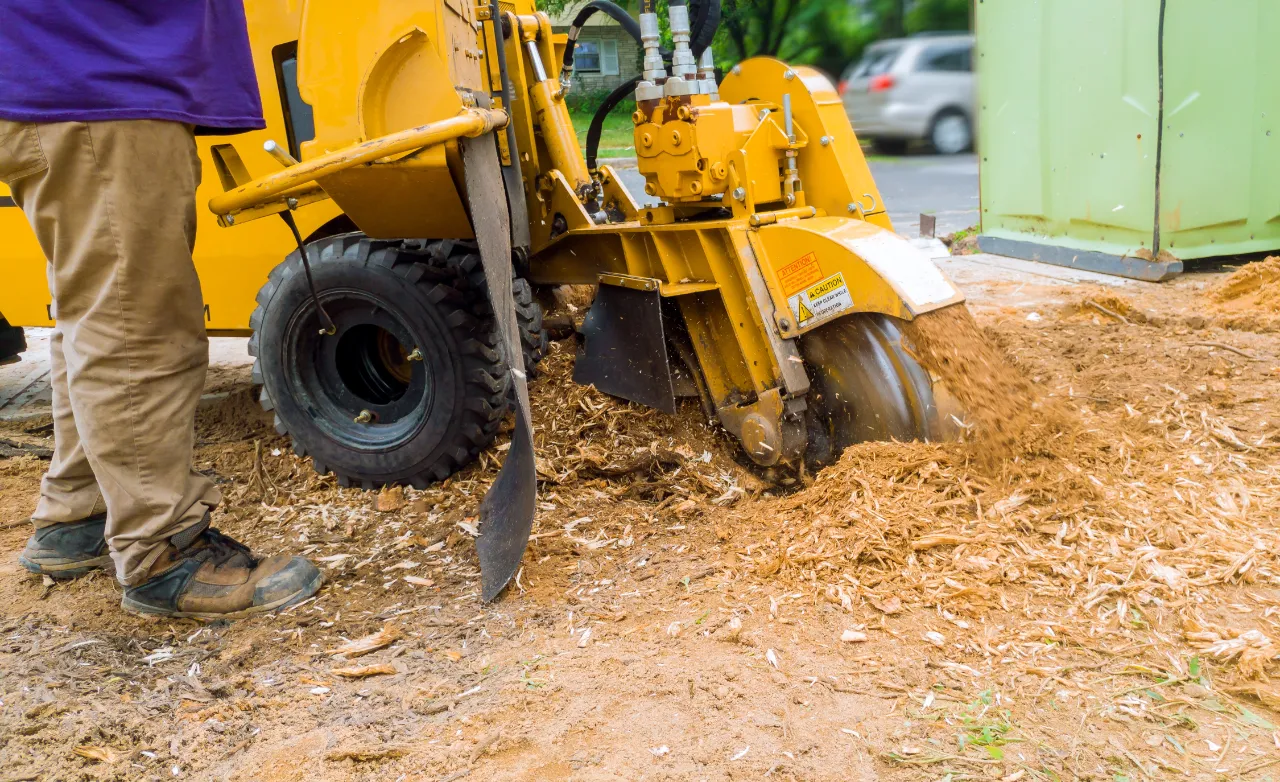 Stump Grinding Services in Connecticut