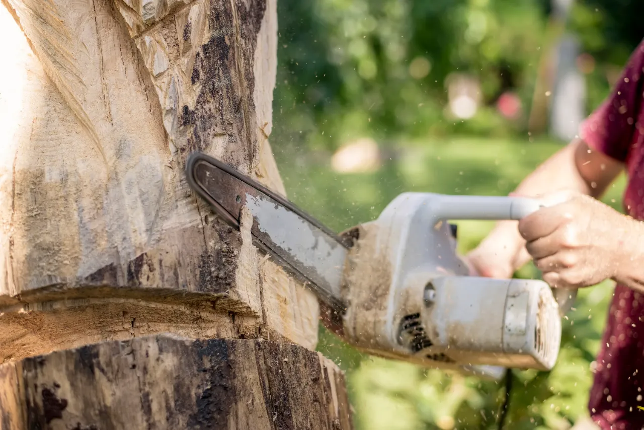 Tree Removal Services DARIEN CT