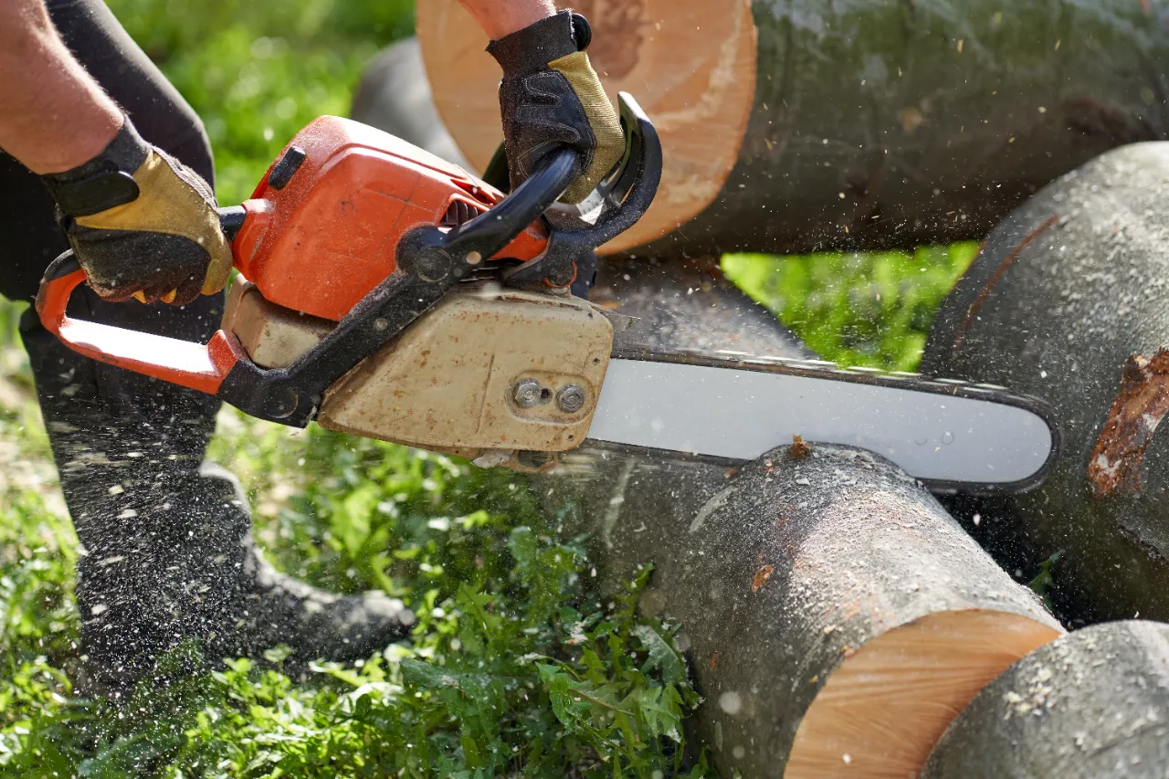 Tree Removal Services DARIEN